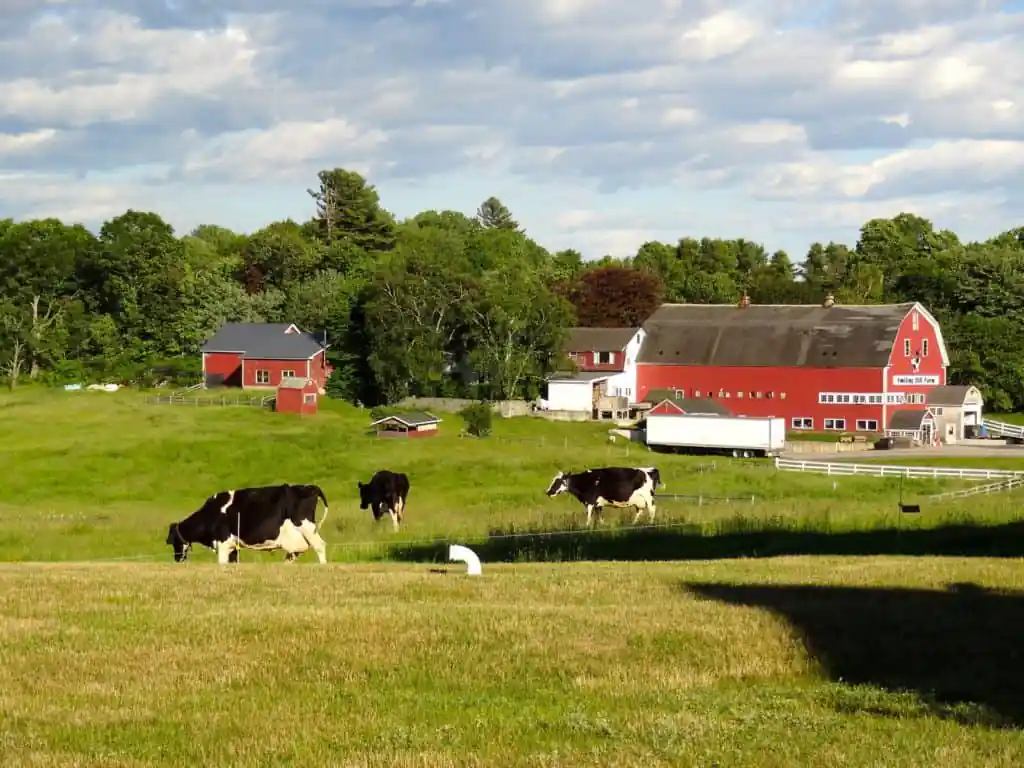 Smiling Hill Farm