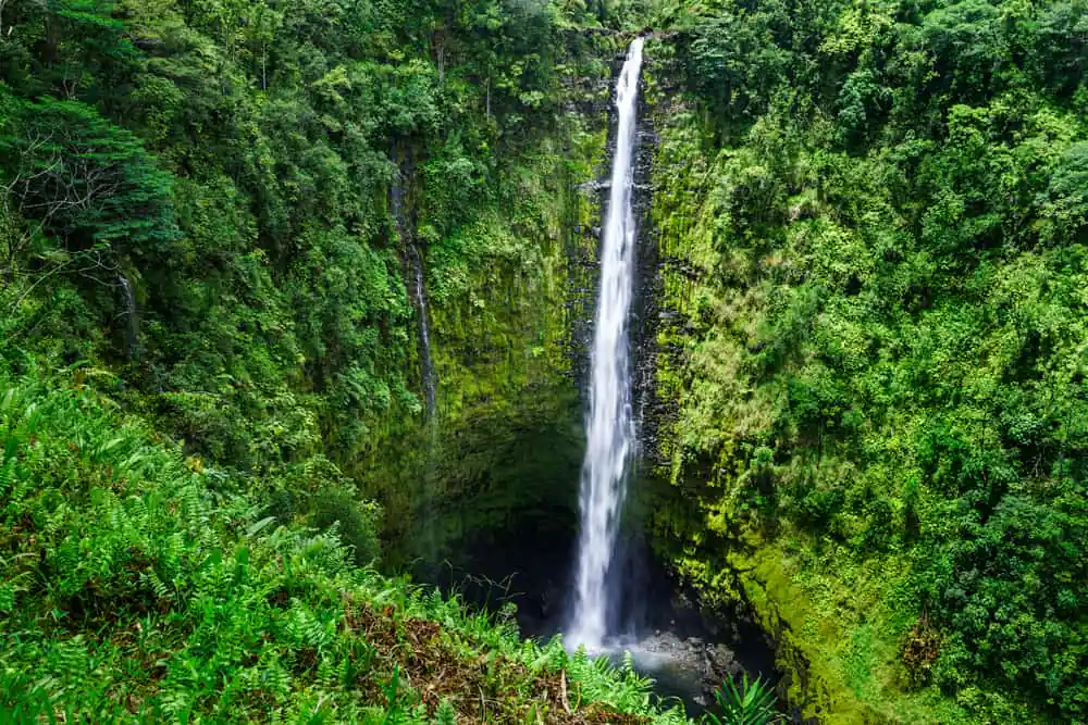 ‘Akaka Falls State Park
