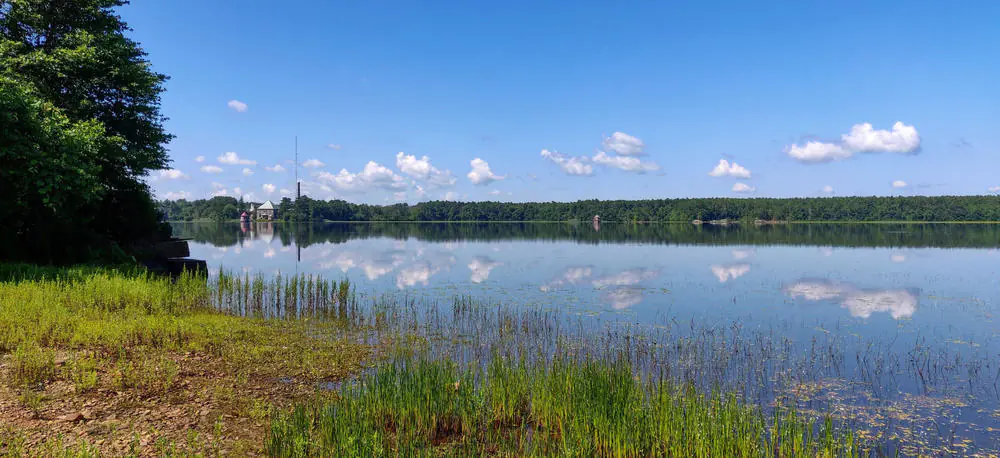 Assawompset Pond