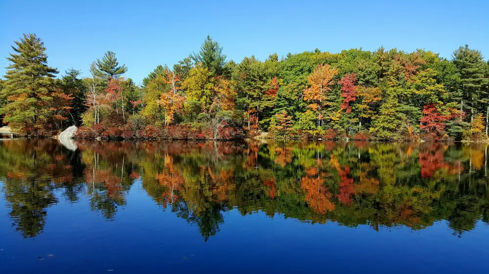 Dunn State Park