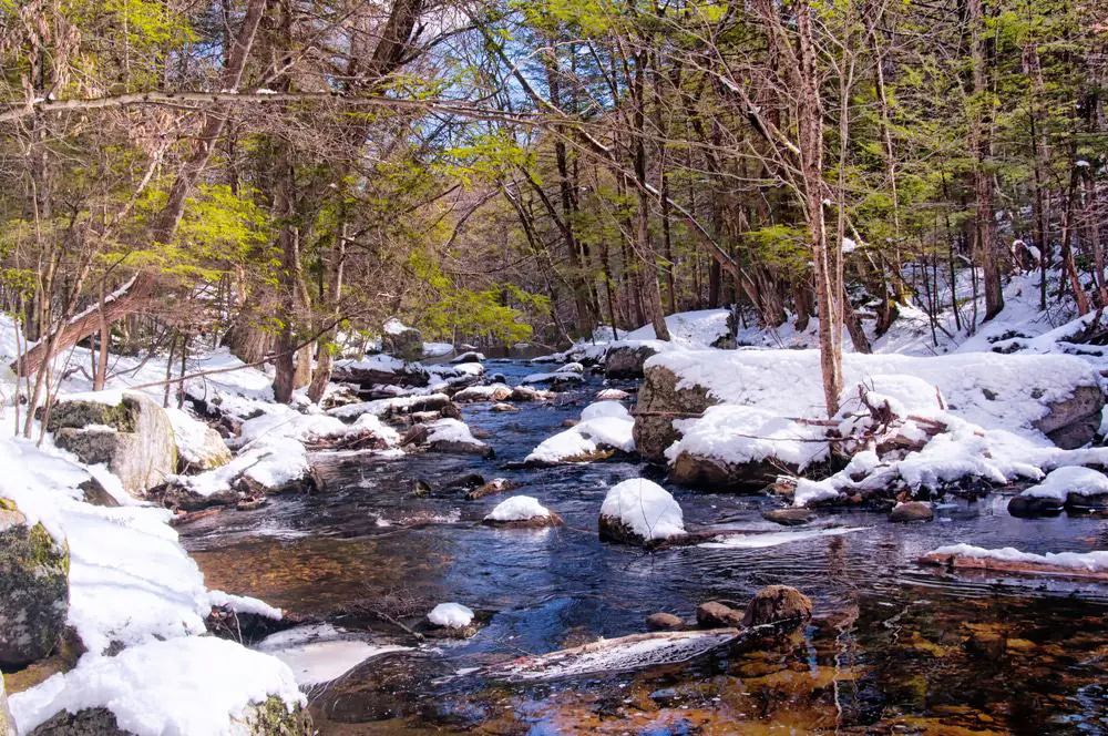 Enders State Forest