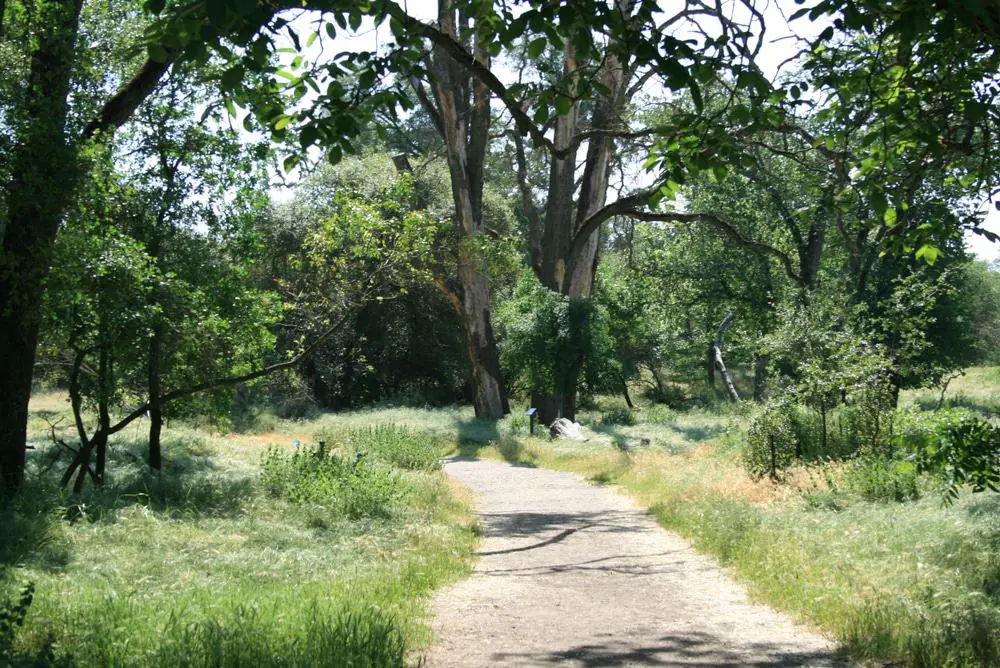 Ancil Hoffman Park
