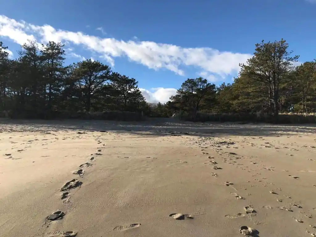 Ferry Beach State Park