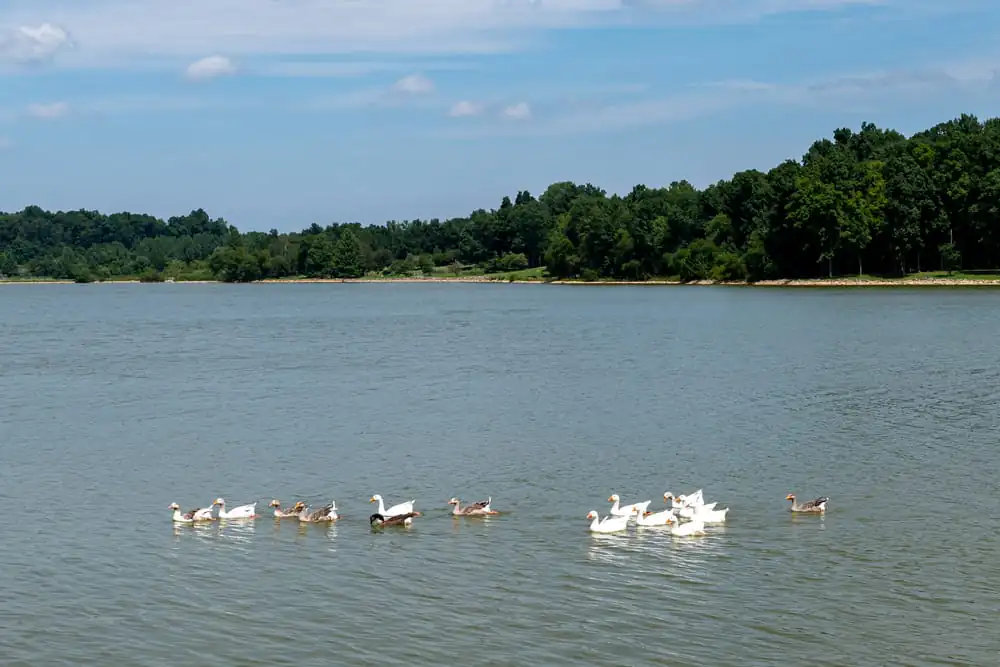 Freeman Lake Park