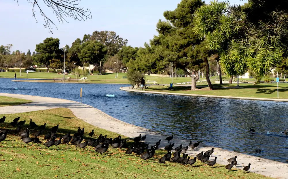 Don Knabe Community Park