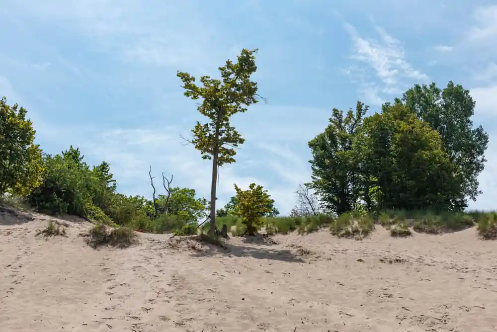 Indiana Dunes National Park, Portage