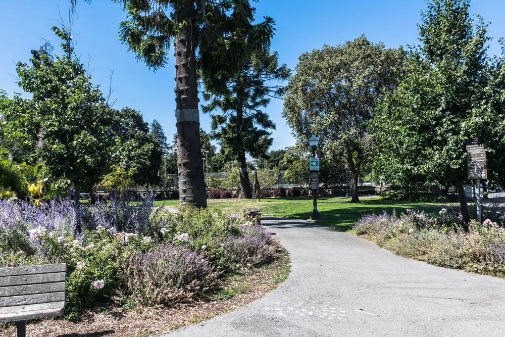 Japanese Garden, San Mateo