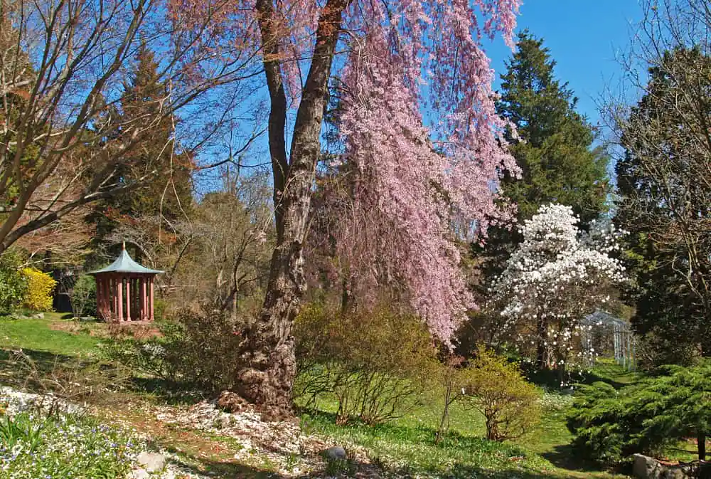 Long Hill Gardens