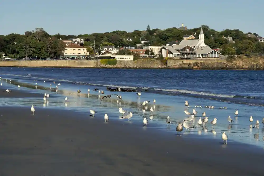 Lynn Beach