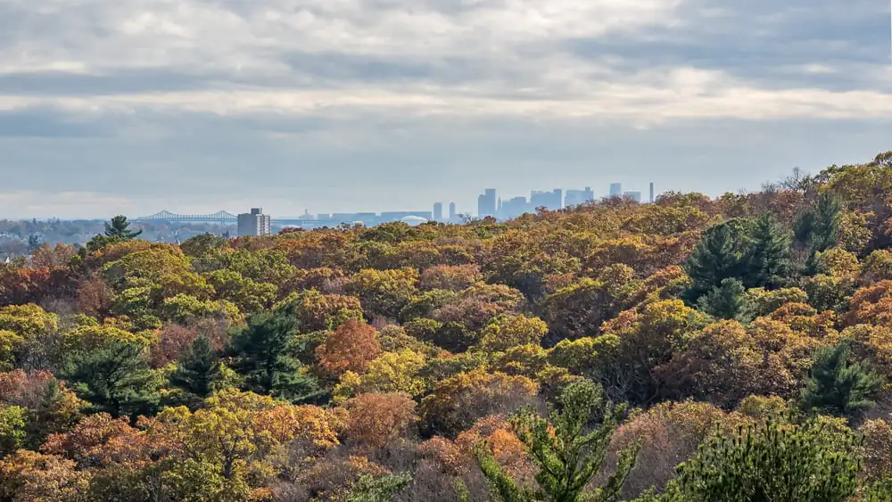 View of the Boston Skyline from Middlesex Fells