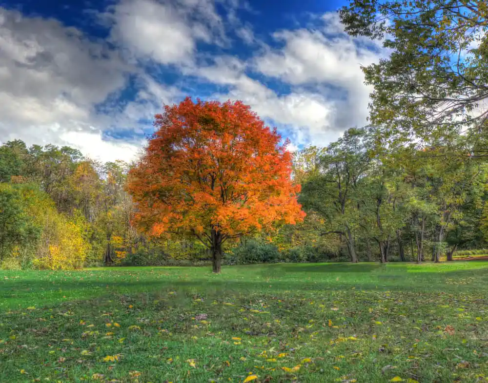 Mounds State Park