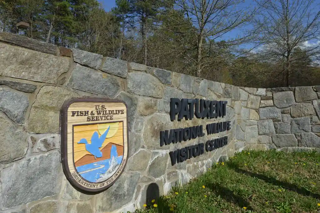 National Wildlife Visitor Center - Patuxent Research Refuge South Tract