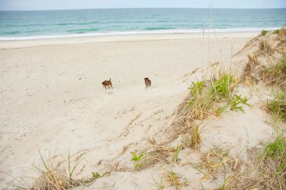 Rexhame Beach