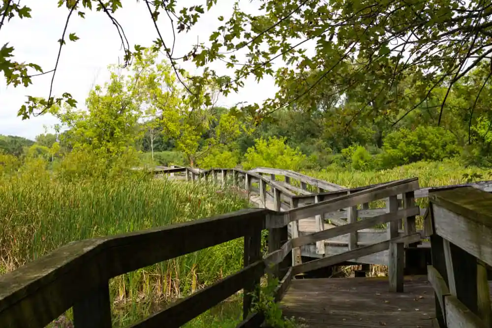 Rock Cut State Park