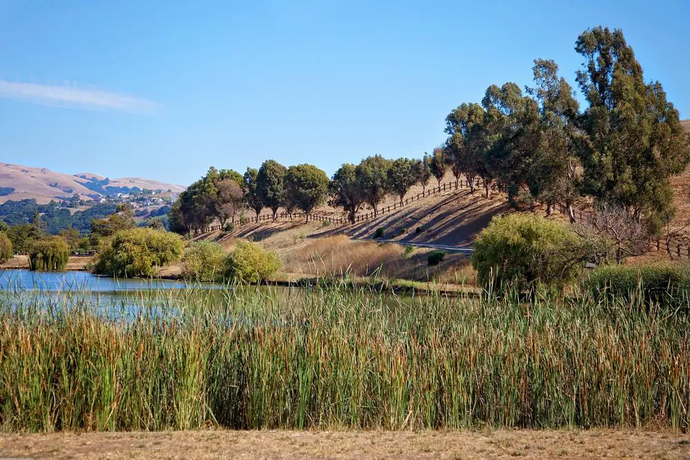 Ed Levin County Park