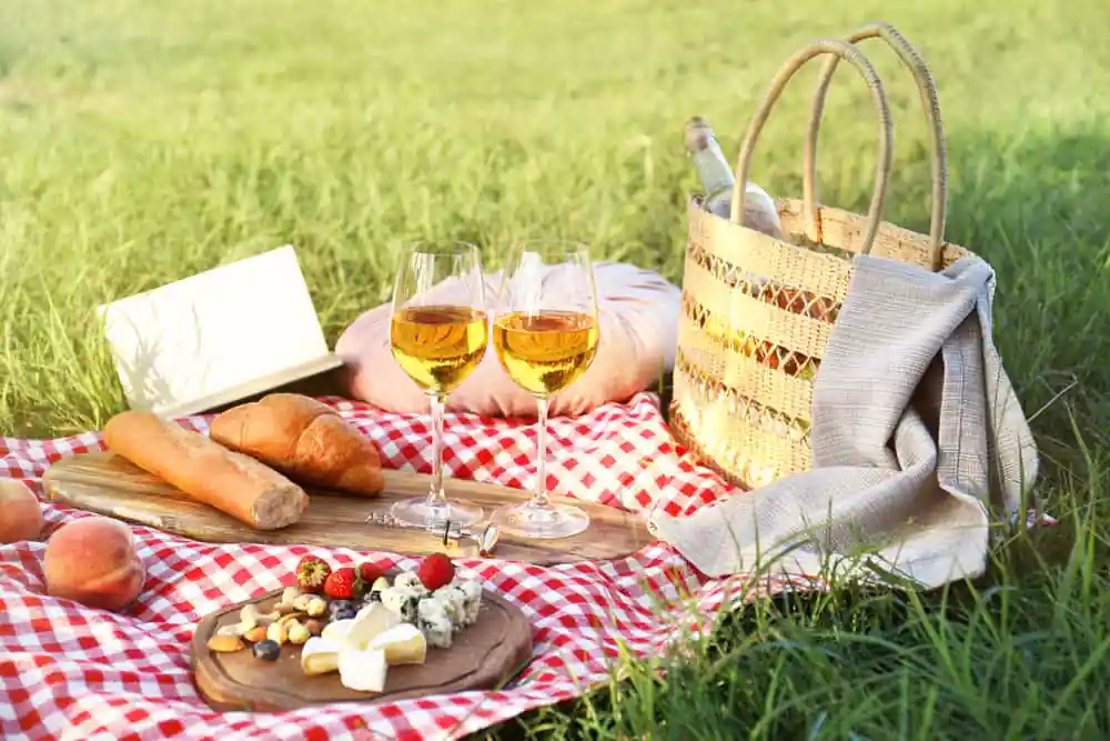 Picnic in the Park