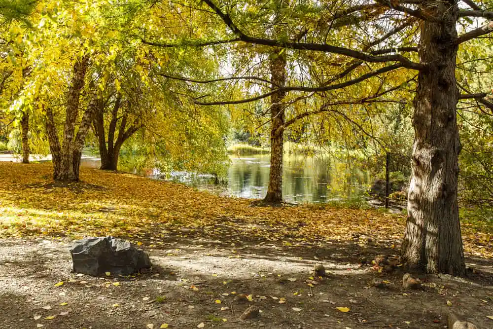 University of Idaho Arboretum & Botanical Garden