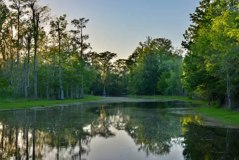 Scenery Along the Wetlands Cultural Byway