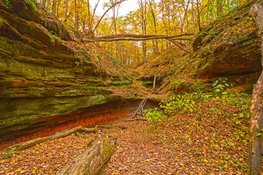 Wildcat Den State Park