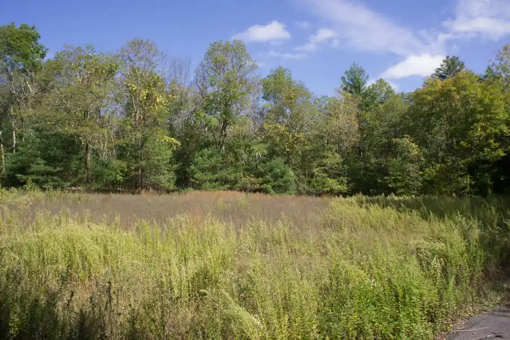 Wompatuck State Park