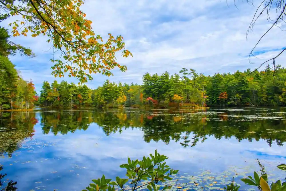 Bigelow Hollow State Park