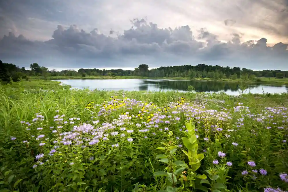 Blackwell Forest Preserve