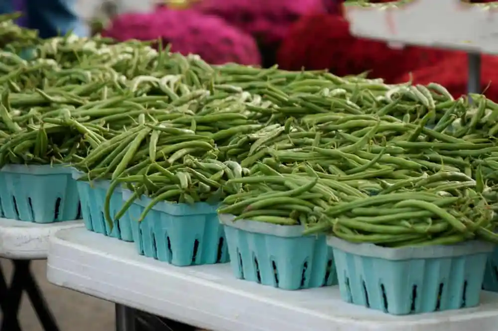 Bloomington Community Farmersβ Market