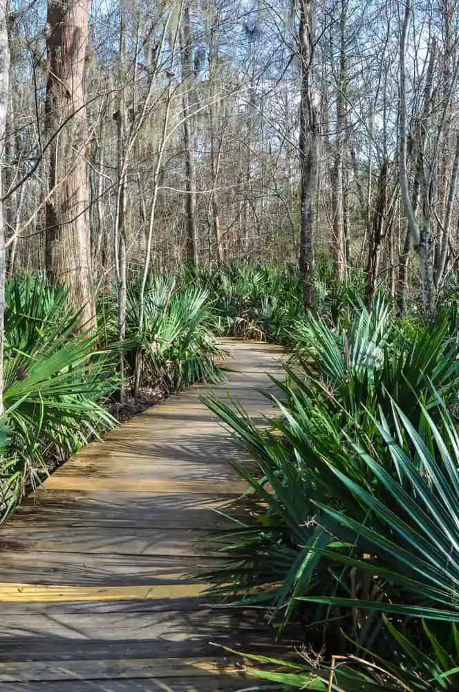 Camp Salmen Nature Park