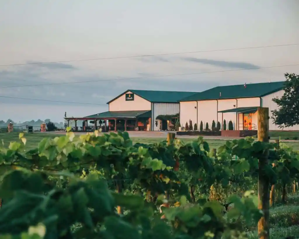 Chenault Vineyard