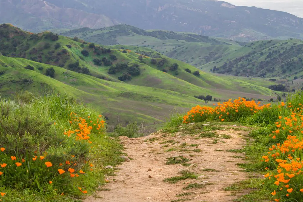 Chino Hills State Park