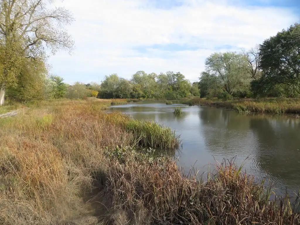 Churchill Woods Forest Preserve