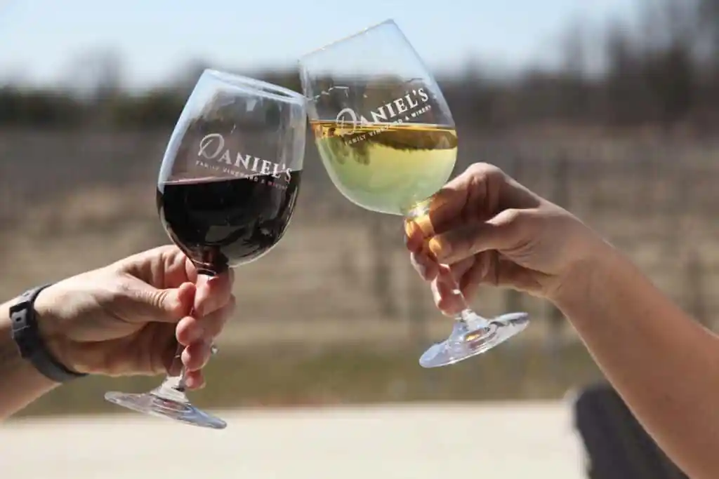 Danielβs Vineyard