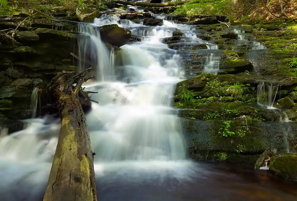 Day Pond State Park