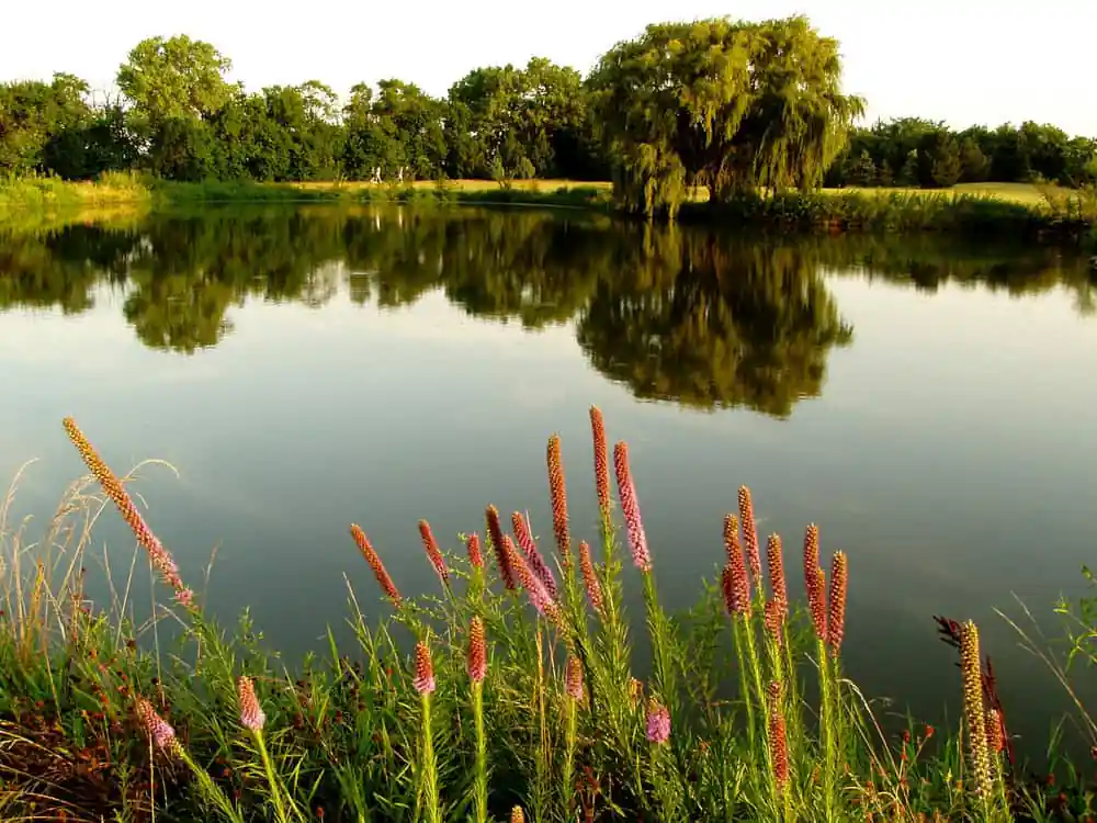Dyck Arboretum Of The Plains