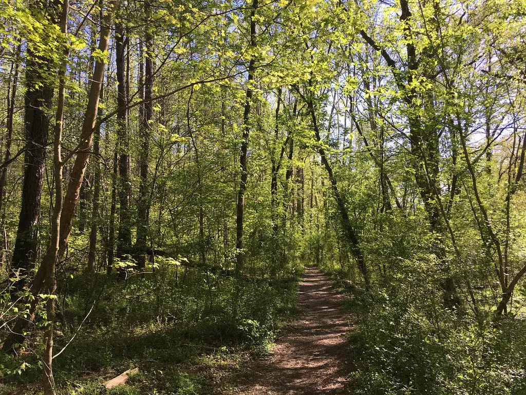 East Palisades Trail