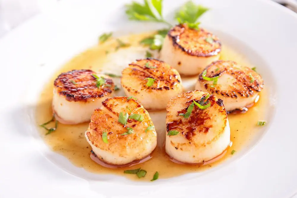 Northeast Seafood Kitchen