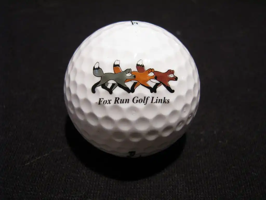 Fox Run Golf Links
