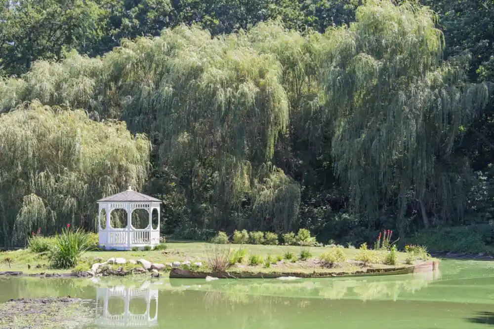Friendship Botanic Gardens