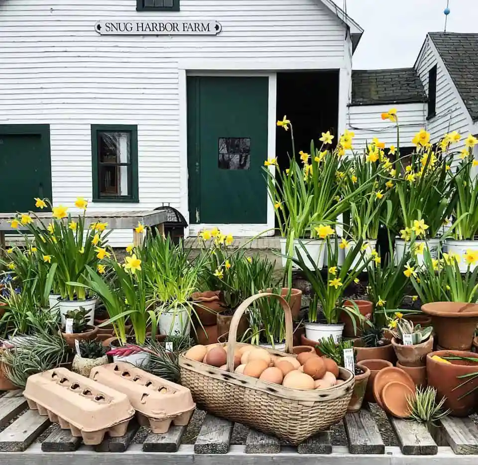 Snug Harbor Farm