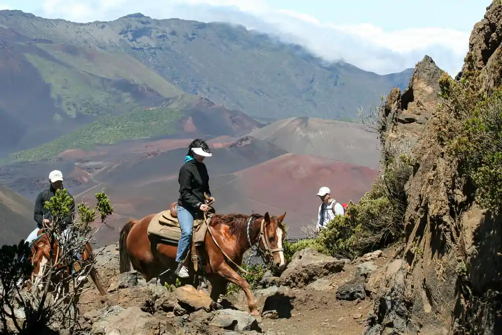 Horseback Riding, Maui