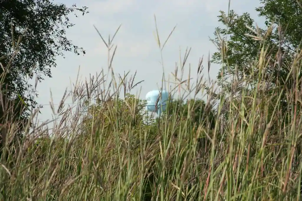 Illinois Prairie Path (Geneva Spur)