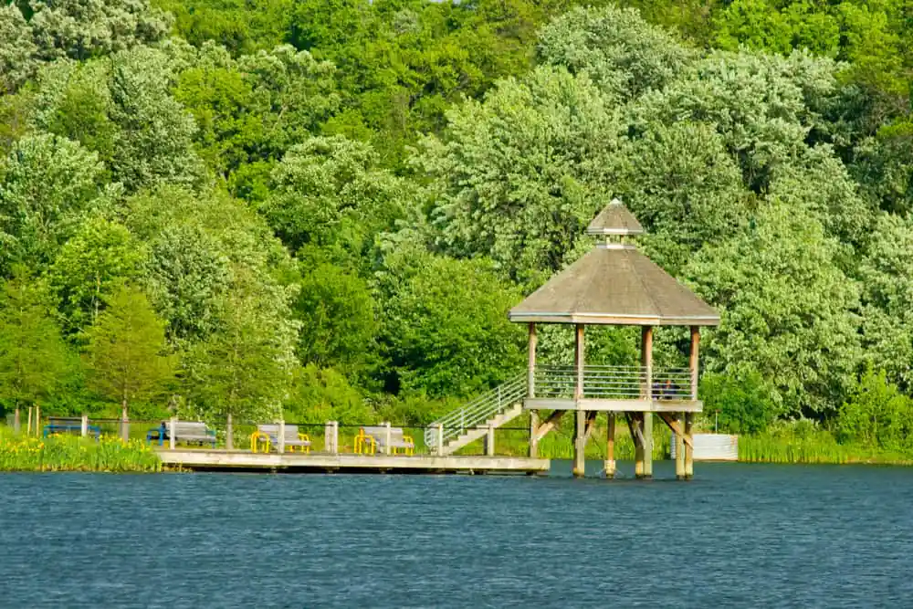 Lake Artemesia