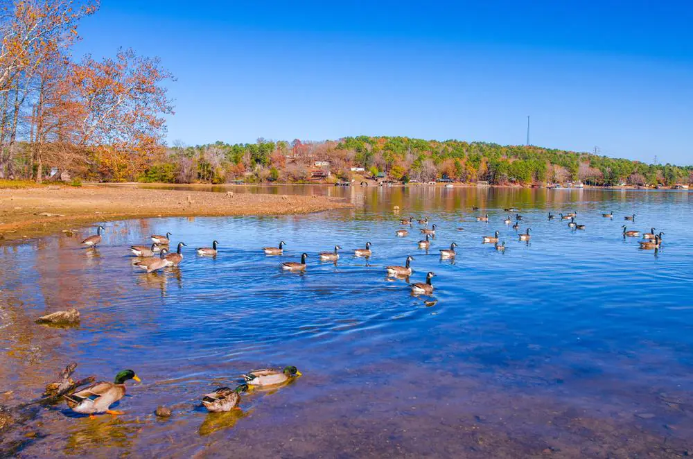 Lake Catherine State Park