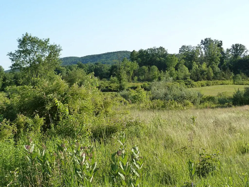 Lamentation Mountain