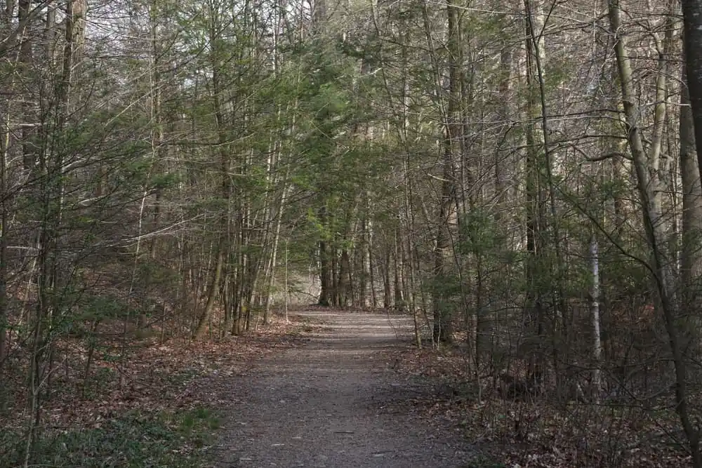 Marblehead Neck Wildlife Sanctuary