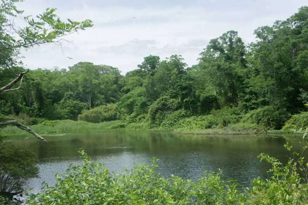 Mashpee River Reservation