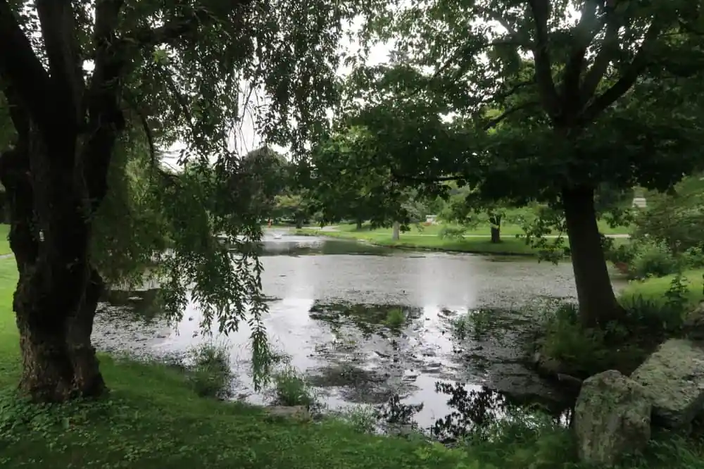 Newton Cemetery & Arboretum