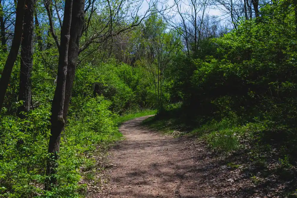 Ox Bow Park