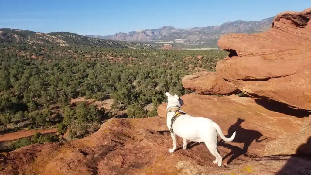 Red Canyon Park