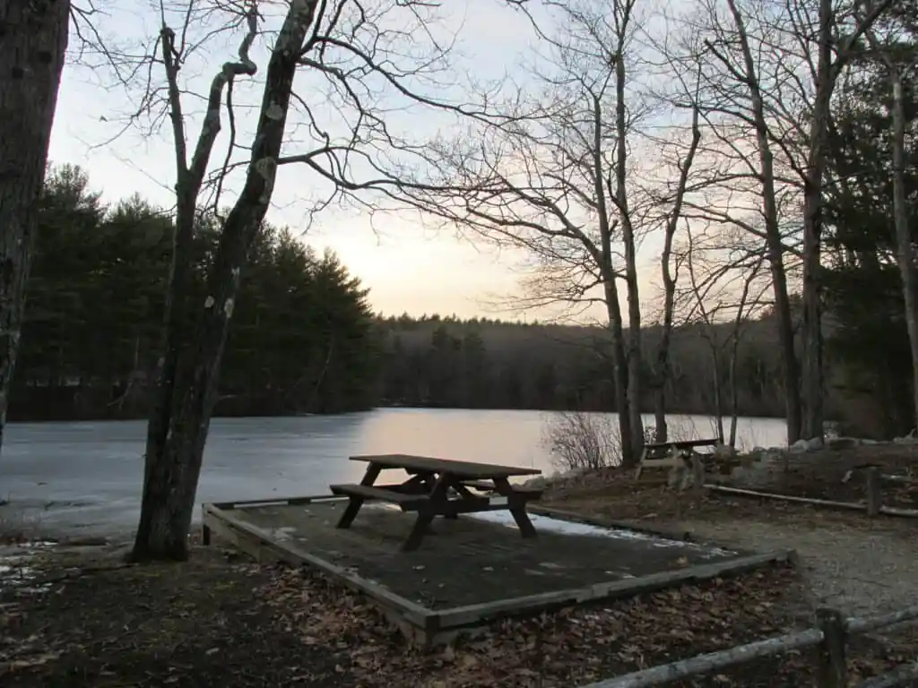 Rocky Woods